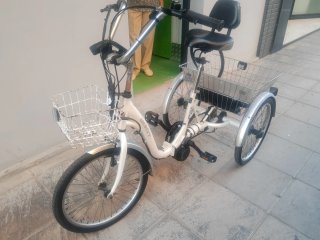 Triciclo Eléctrico Monty