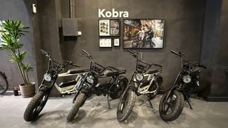 Kobra Fatbike Eléctrica