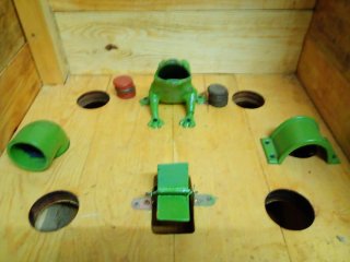 Juego de la Rana Auténtico