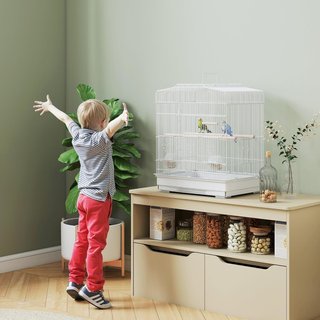 Jaula para Aves Portátil con Asa, Bandeja Extraíble y 5 Puertas, Voladera para Periquitos con Posaderos de Madera, Columpio y Comederos, 46.5X36X59 Cm, Blanco