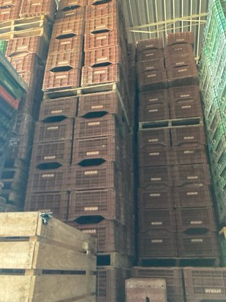 Cajas de plástico para fruta APEMAR