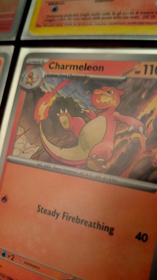 Lote CHARMANDER