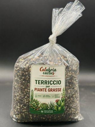 Terriccio professionale per piante grasse 2 lt