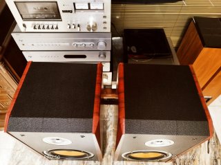 Altavoces DYNAVOX TG1000B-E