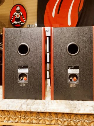Altavoces DYNAVOX TG1000B-E