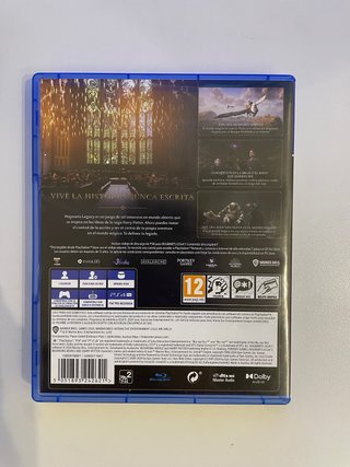 Hogwarts Legacy PS4 (PlayStation 4)