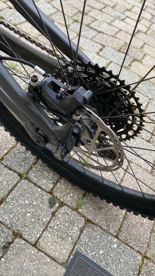Specialized status s3