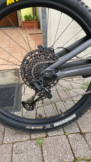 Specialized status s3