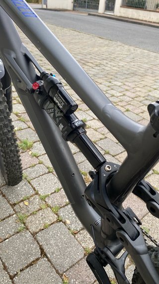 Specialized status s3