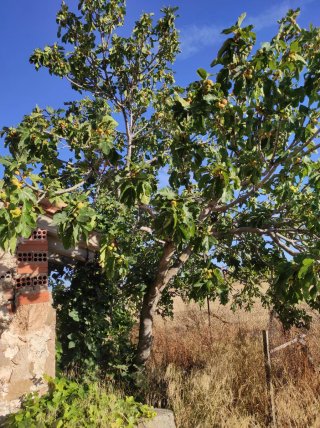 Casa de campo con cochera.