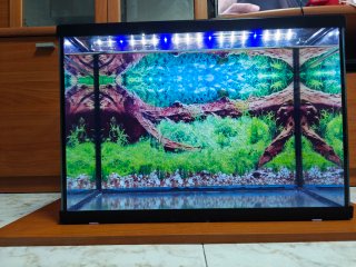 Acuario 60L Negro y cristal