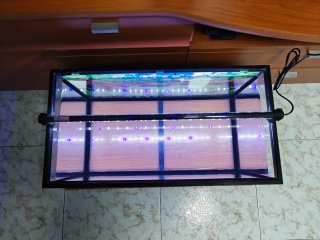 Acuario 60L Negro y cristal