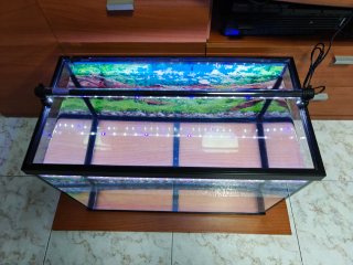 Acuario 60L Negro y cristal
