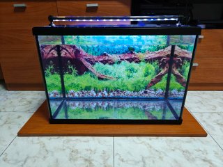 Acuario 60L Negro y cristal