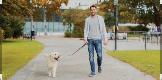 Me ofrezco a pasear perros