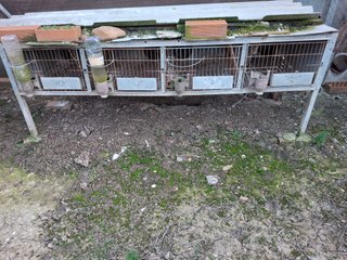 Jaula para gallinas y conejos