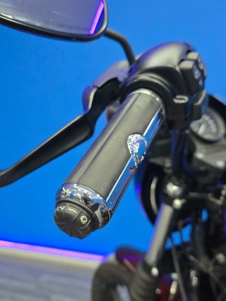 Harley Davidson Sportster Iron 1200 2019