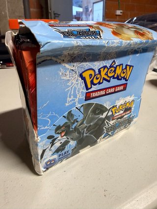 Caja de sobres Pokémon Black & White