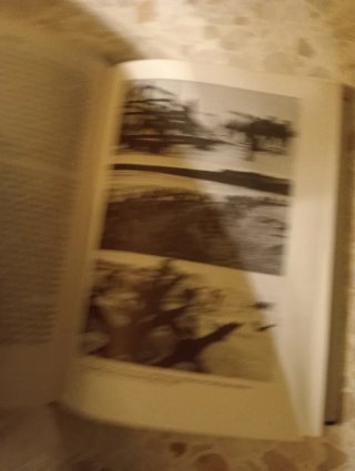 La España de Franco (Spanish Edition)