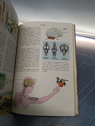 ENCICLOPEDIA DE ORO - TOMO 1 y 4 - EDITORIAL NOVARO-coleccionismo