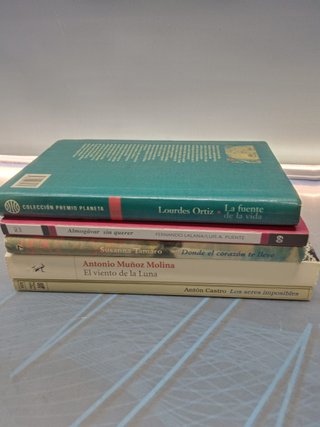 Lote 5 libros, autores contemporáneos, Anton Castro, Susanna Tamaro, Lourdes ortiz y mas