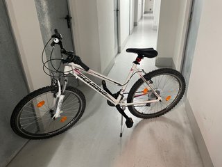 Bicicleta Schiano