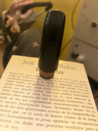 Libro Roque Six de José Luis Rubio