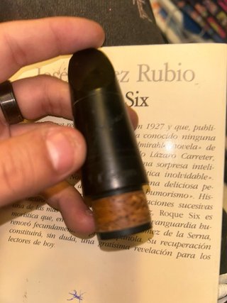 Libro Roque Six de José Luis Rubio