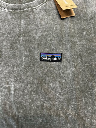 Camiseta Patagonia Gris Lavado