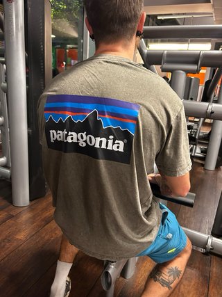 Camiseta Patagonia Gris Lavado