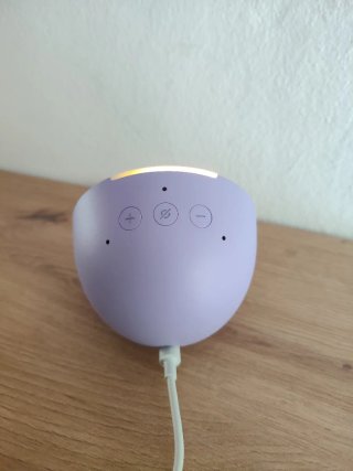 Alexa Echo pop violetto