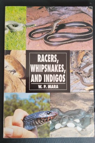 Lote 9 libros reptiles / serpientes –Terrariofilia