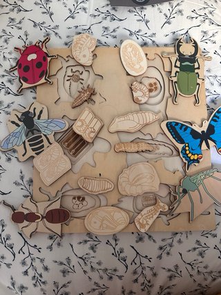 Puzzle madera insectos ciclo vida