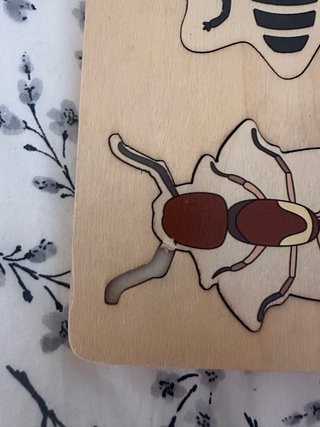 Puzzle madera insectos ciclo vida