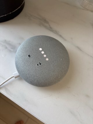 Google Home Mini Grigio