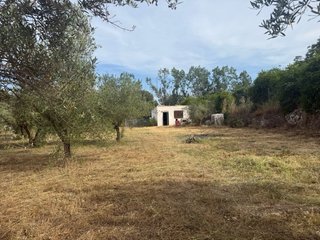Finca rústica vallada con agua y olivos Cocentaina