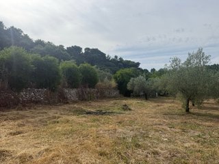 Finca rústica vallada con agua y olivos Cocentaina