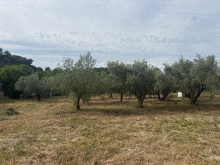 Finca rústica vallada con agua y olivos Cocentaina