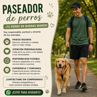 Busco empleo paseador de perros