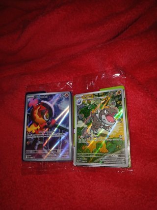Pack Cartas Pokémon Tyrunt y Charcadet Promo