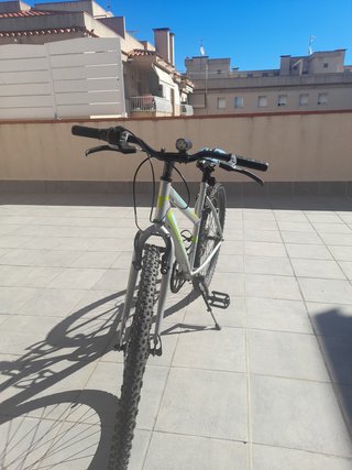 Bicicleta 19 pulgadas gris y verde