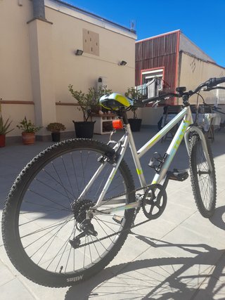 Bicicleta 19 pulgadas gris y verde
