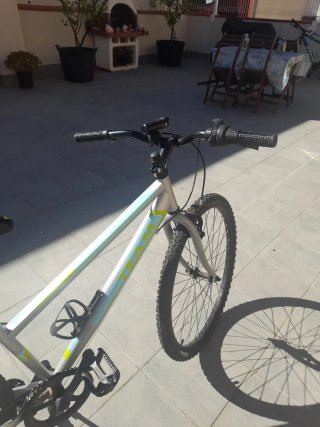 Bicicleta 19 pulgadas gris y verde