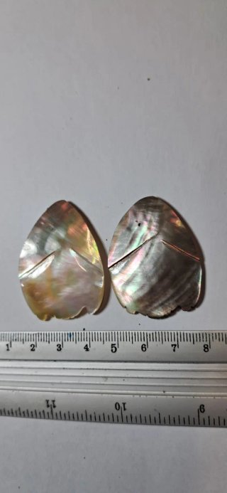 Petali di fiore madreperla