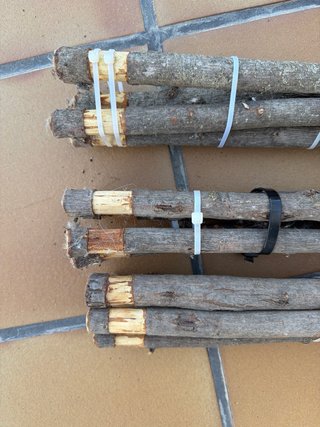 Palos de Silvestrismo, largos,madera resistente