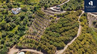 Terreno en venta en Urbanización Santa Rosa en Torrox