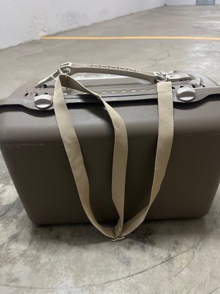 Transportín para gatito