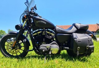 Harley Davidson iron 883