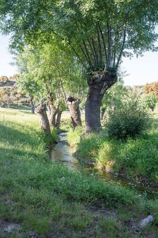 Terreno en venta en Vegas de Matute