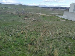 Terreno en venta en Molar (El)